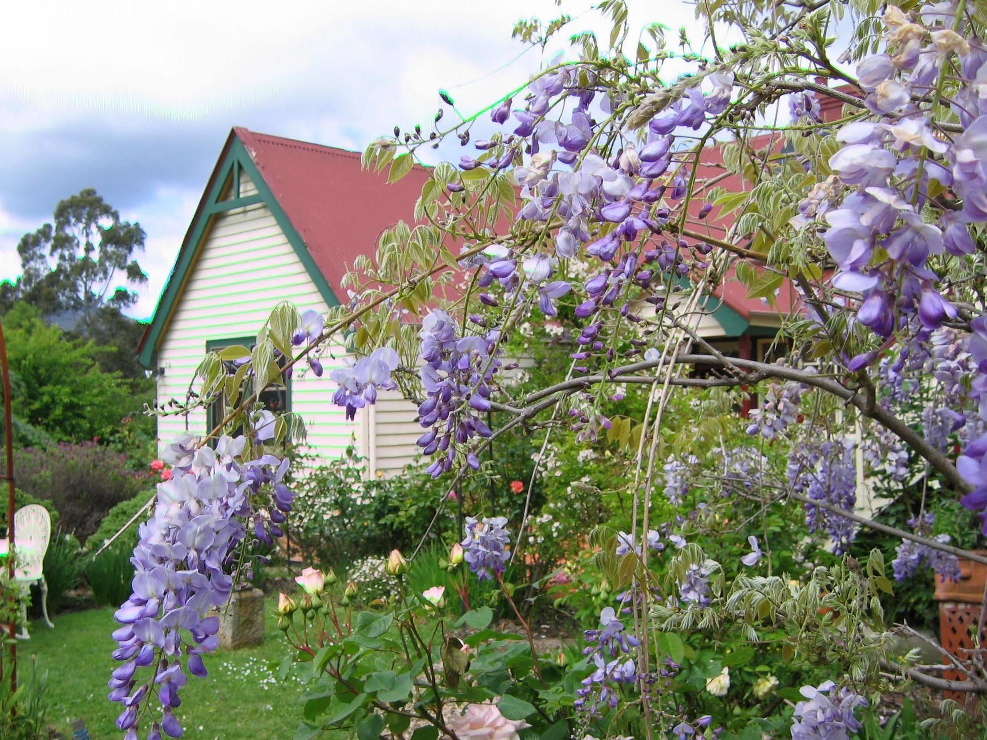 Crabtree House Bed & Breakfast Grove Luaran gambar
