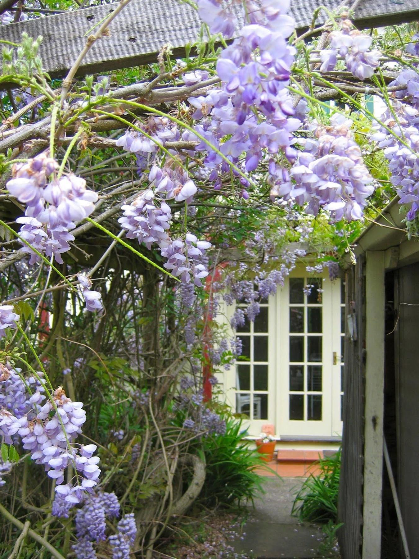 Crabtree House Bed & Breakfast Grove Luaran gambar