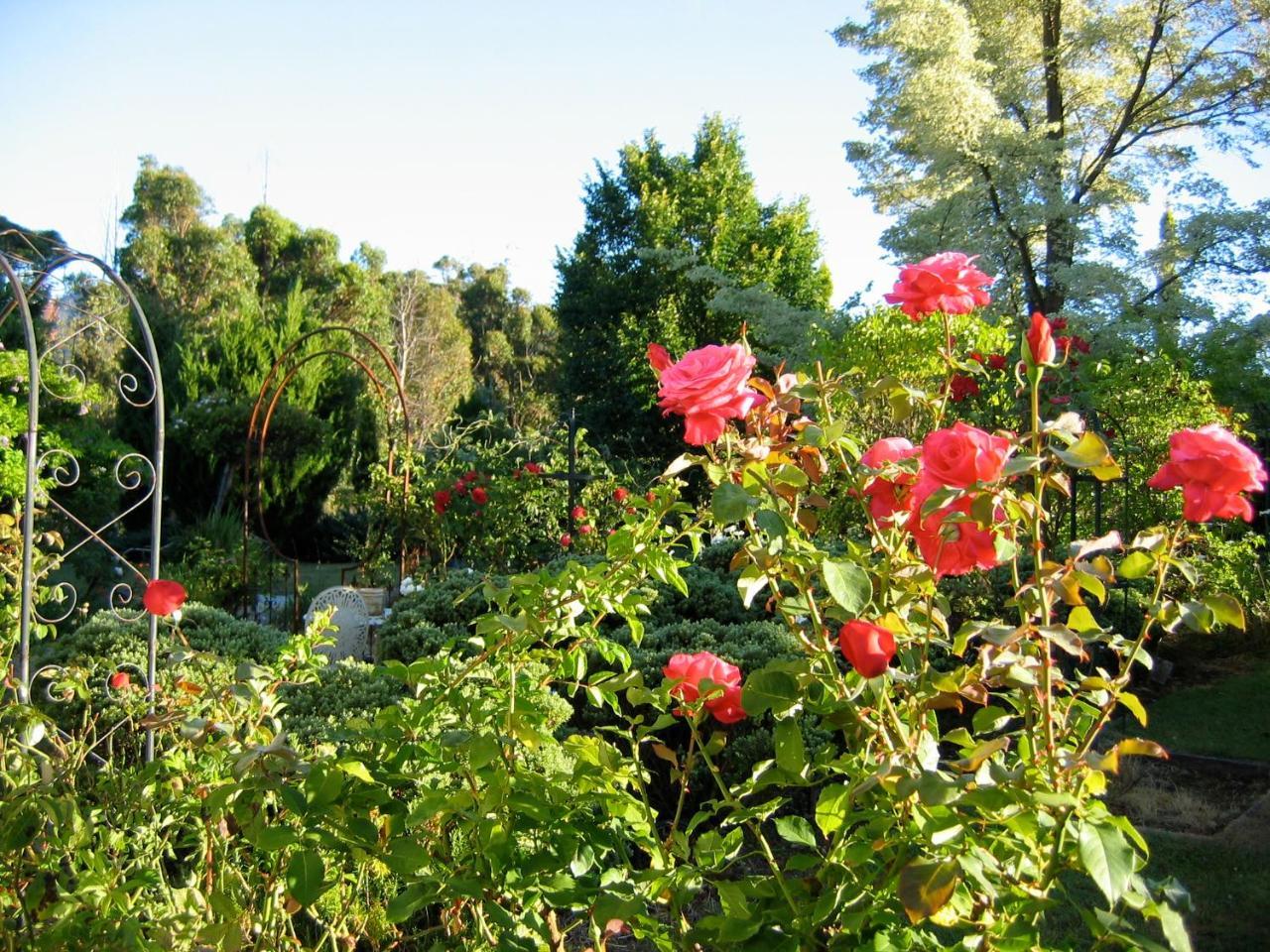 Crabtree House Bed & Breakfast Grove Luaran gambar