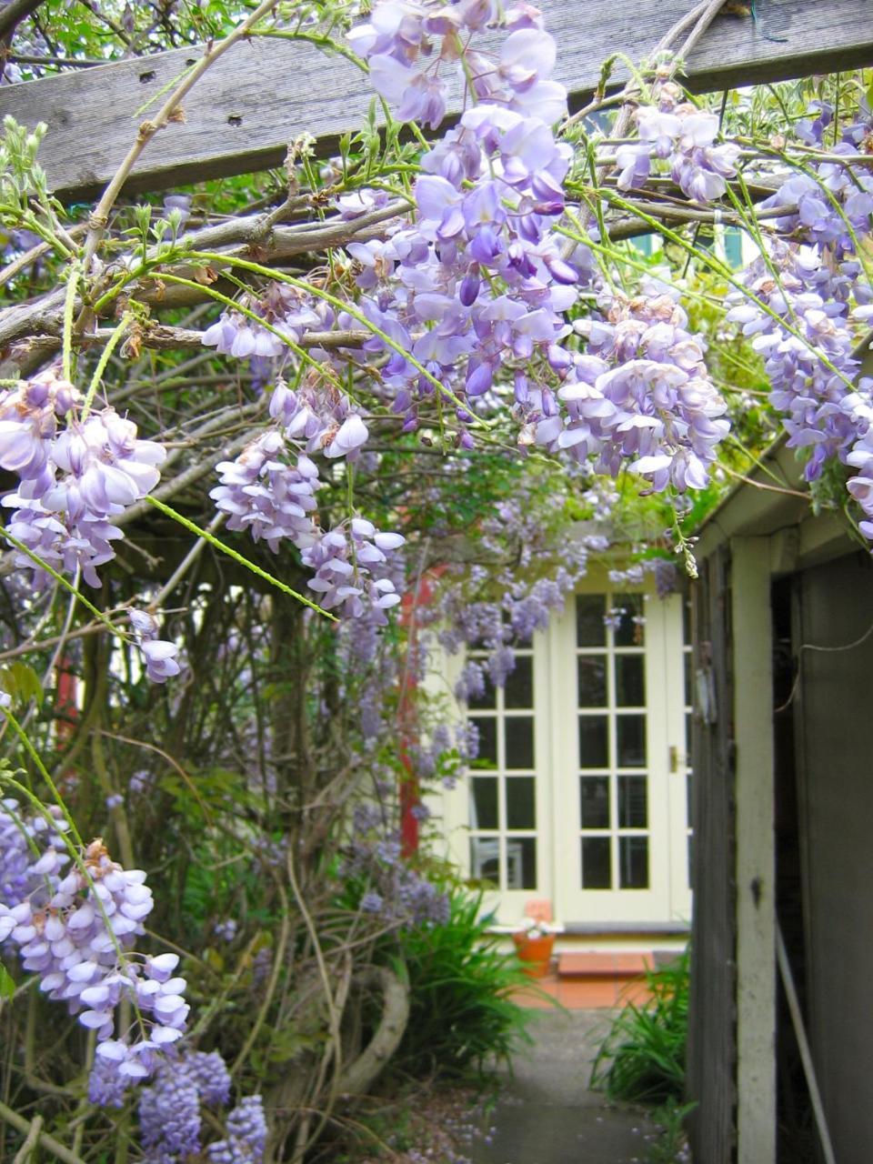 Crabtree House Bed & Breakfast Grove Luaran gambar
